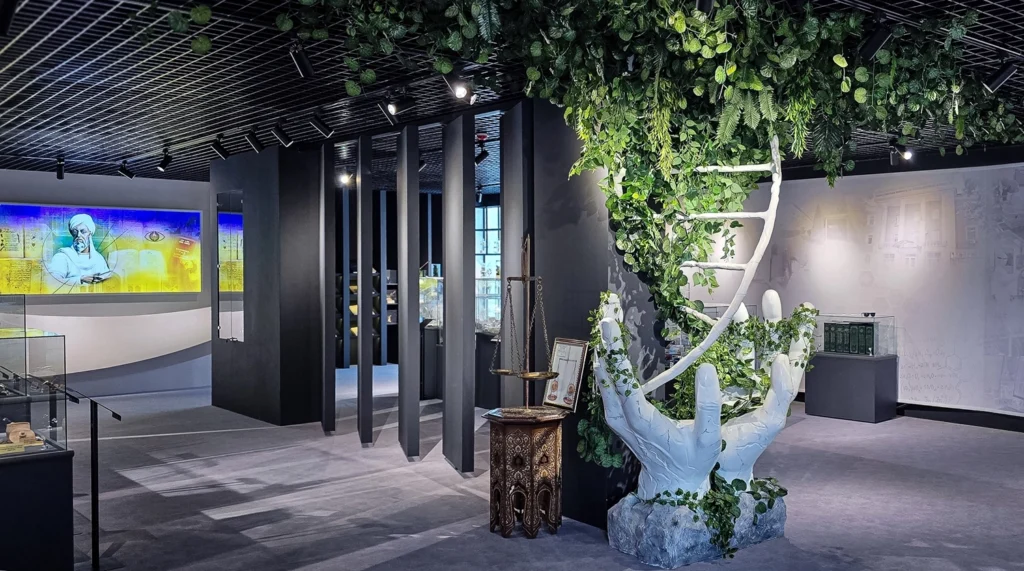 Aesthetic Pro portfoliosi: Muzeylar va EXPO