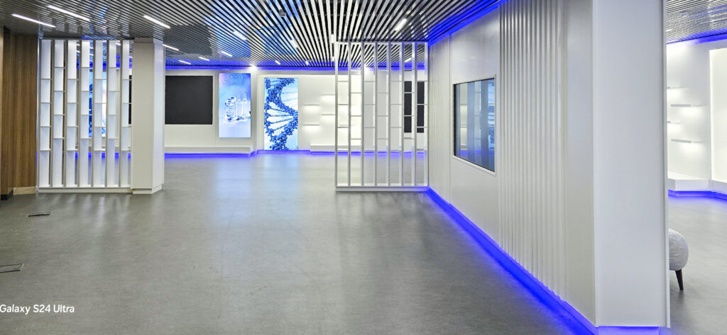 Aesthetic Pro portfoliosi: Muzeylar va EXPO