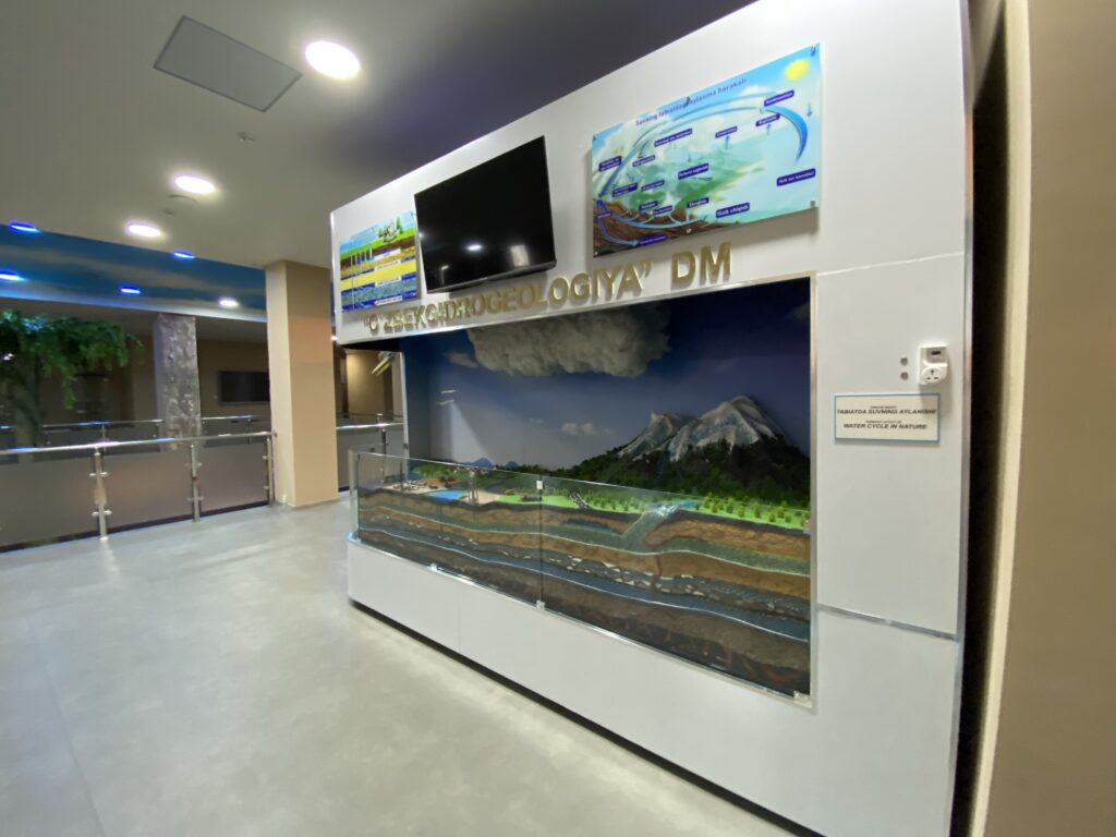 Aesthetic Pro portfoliosi: Muzeylar va EXPO